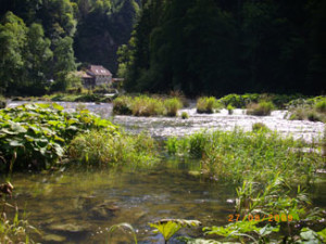 Le-doubs-a-Goumois-002